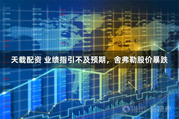 天载配资 业绩指引不及预期，舍弗勒股价暴跌
