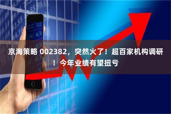 京海策略 002382，突然火了！超百家机构调研！今年业绩有望扭亏