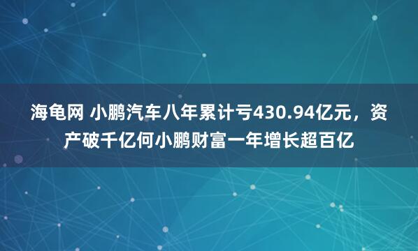 海龟网 小鹏汽车八年累计亏430.94亿元，资产破千亿何小鹏财富一年增长超百亿