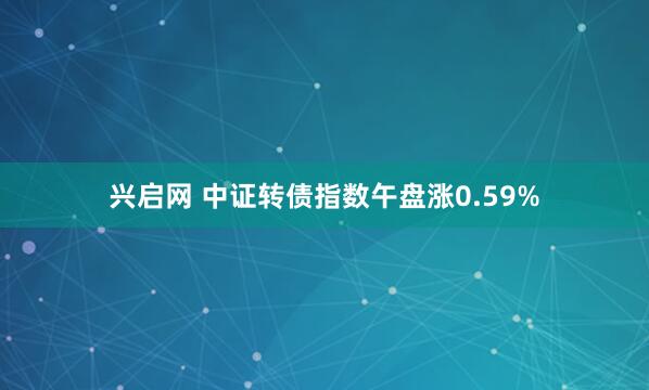 兴启网 中证转债指数午盘涨0.59%