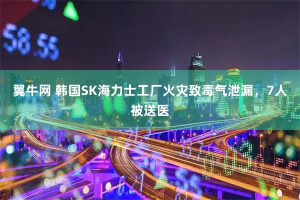 翼牛网 韩国SK海力士工厂火灾致毒气泄漏，7人被送医